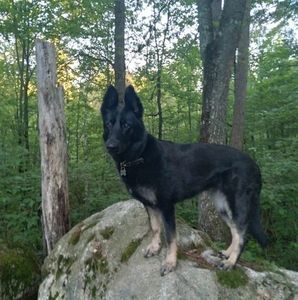 Meet your Posher, Christine